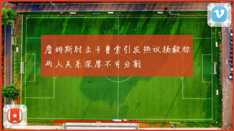 詹姆斯肘击卡鲁索引发热议杨毅称两人关系深厚不可分割